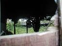 thumb-2004-08-09--018.jpg