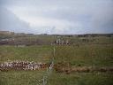 thumb-2004-03-21--016.jpg