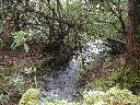 thumb-2004-03-21--068.jpg