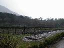 thumb-2004-03-21--071.jpg