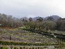 thumb-2004-03-21--073.jpg