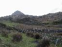 thumb-2004-03-21--079.jpg