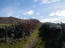 thumb-2004-03-24--003.jpg