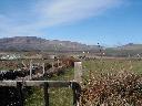 thumb-2004-03-24--004.jpg