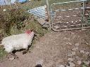 thumb-2004-03-24--013.jpg