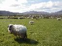 thumb-2004-03-24--024.jpg