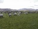 thumb-2004-03-24--026.jpg
