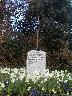 thumb-2004-03-25--013.jpg