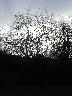 thumb-2004-03-25--015.jpg