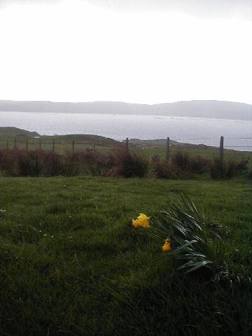 Ireland - Clifden Castle