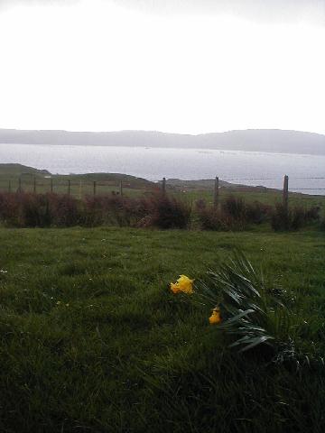 Ireland - Clifden Castle