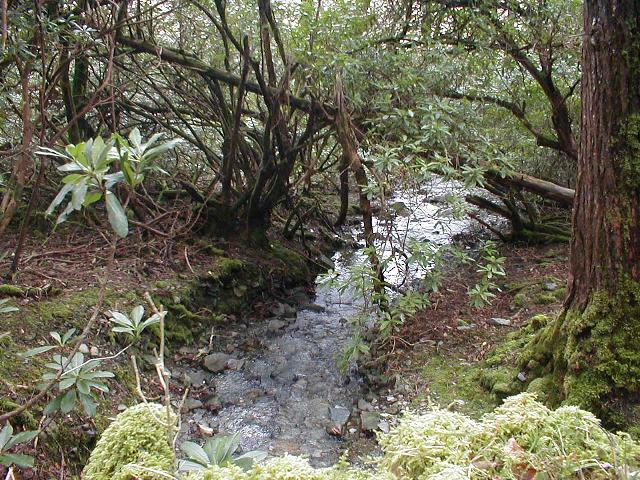 Ireland - Kylemore