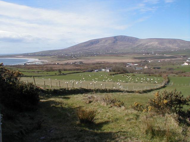 Ireland - Dingle