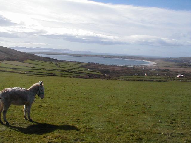 Ireland - Dingle