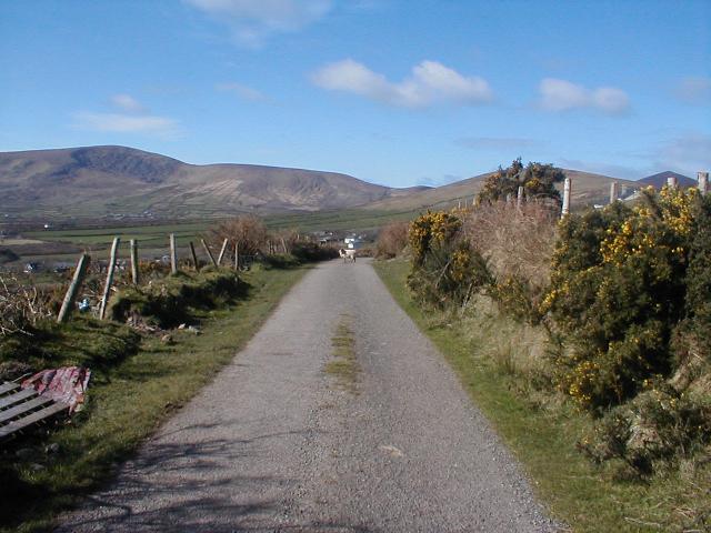 Ireland - Dingle