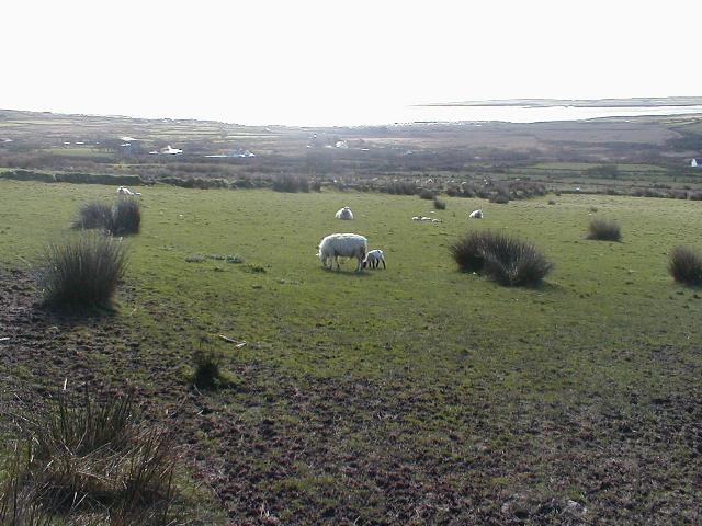 Ireland - Dingle