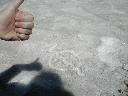 thumb-2004-08-01--022.jpg
