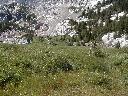 thumb-2004-08-03--026.jpg