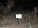 thumb-2001-03-28--050.jpg