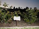 thumb-2001-03-28--054.jpg