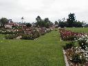 thumb-2001-05-20--003.jpg