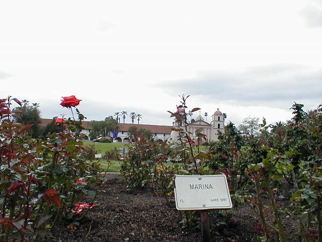 The Rose Garden - Marina