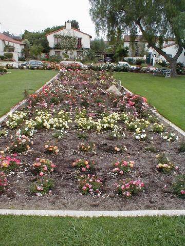 The Rose Garden -  