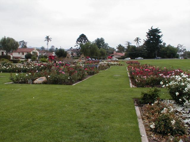 The Rose Garden -  