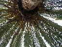 thumb-2001-03-30--004.jpg