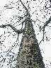 thumb-2001-04-04--033.jpg