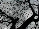 thumb-2001-04-04--039.jpg