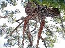 thumb-2001-04-08--016.jpg
