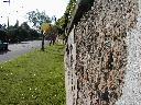 thumb-2001-05-14--015.jpg