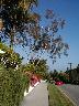 thumb-2001-05-14--023.jpg