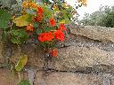 thumb-2001-05-20--010.jpg