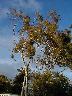thumb-2002-03-23--017.jpg