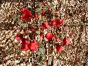 thumb-2002-04-26--003.jpg