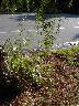 thumb-2002-07-17--002.jpg