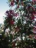thumb-2002-07-28--002.jpg