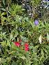 thumb-2002-07-28--012.jpg