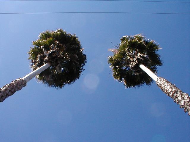 Santa Barbara -  