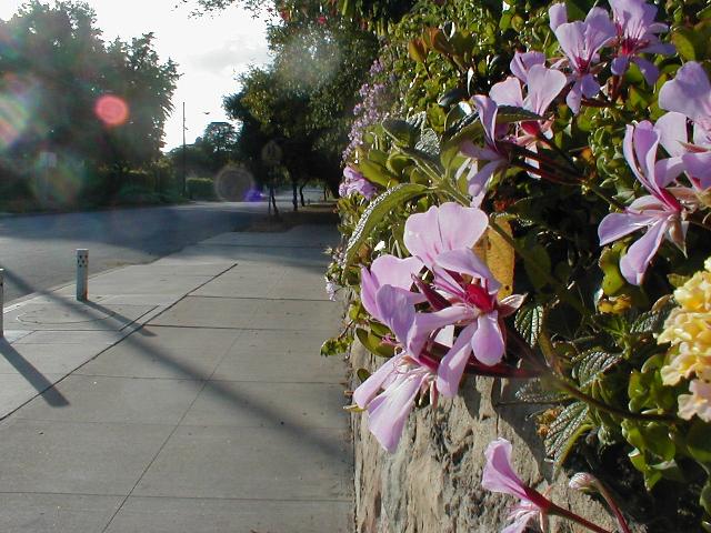Santa Barbara -  