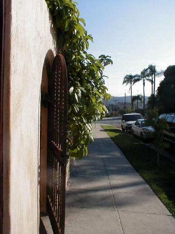 Santa Barbara -  