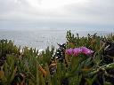 thumb-2003-02-17--019.jpg